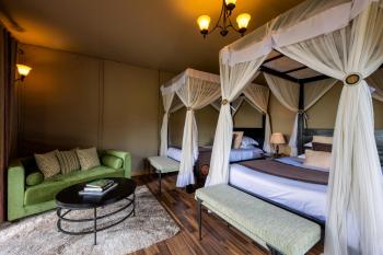 Ngorongoro Lion's Paw Camp