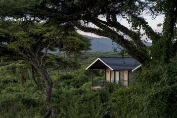 Ngorongoro Lion's Paw Camp