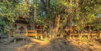 Luxury Family Suite_Camp Okavango