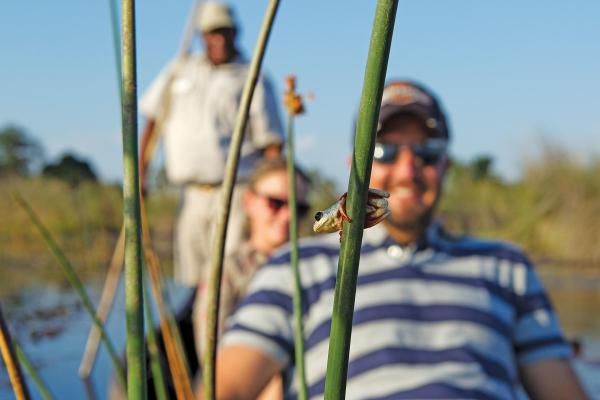 Camp Okavango