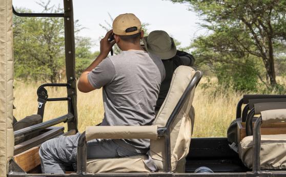 Serengeti Acacia Bliss