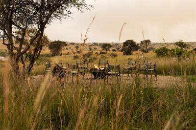 Best Tanzania Safari Tours 