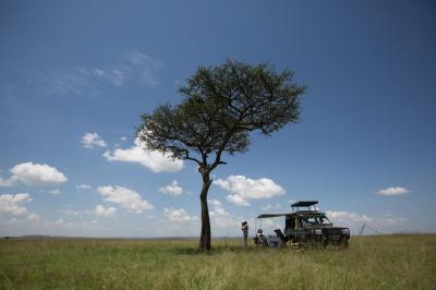 Kenya Tours and Safaris: A Journey into the Heart of Africa